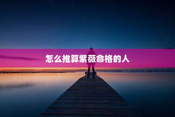 怎么推算紫薇命格的人