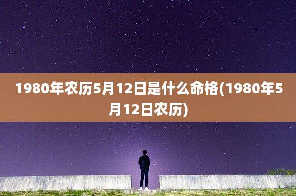 1980年农历5月12日是什么命格(1980年5月12日农历)