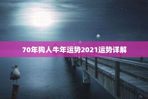 70年狗人牛年运势2021运势详解