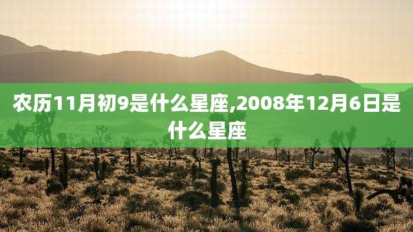 农历11月初9是什么星座,2008年12月6日是什么星座