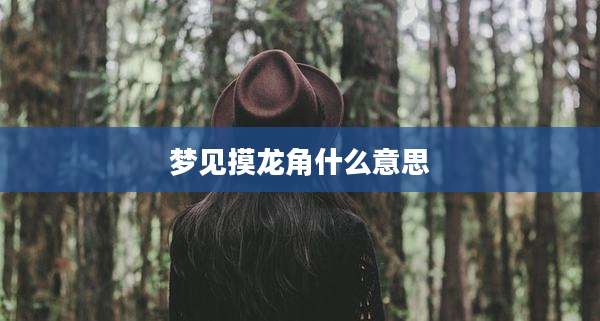 梦见摸龙角什么意思