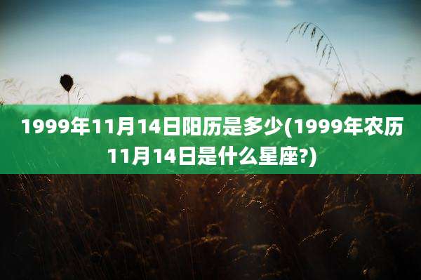 1999年11月14日阳历是多少(1999年农历11月14日是什么星座?)