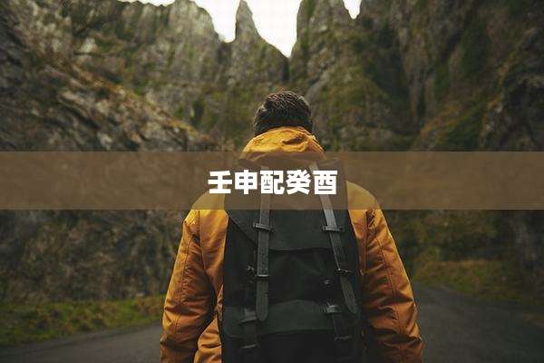 壬申配癸酉