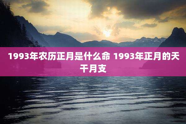 1993年农历正月是什么命 1993年正月的天干月支