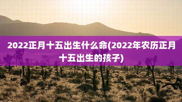 2022正月十五出生什么命(2022年农历正月十五出生的孩子)