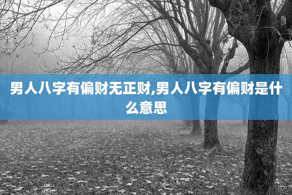 男人八字有偏财无正财,男人八字有偏财是什么意思