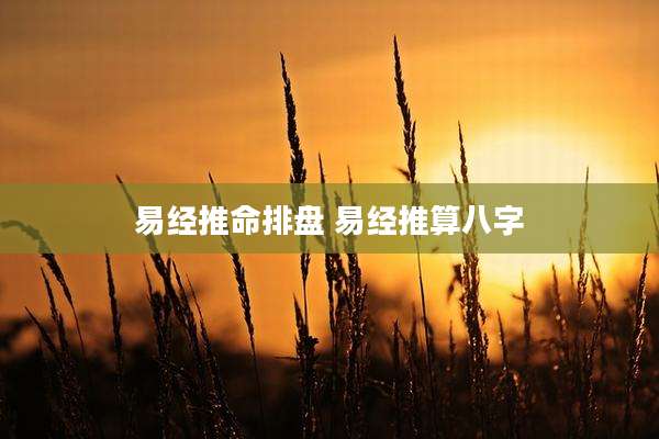 易经推命排盘 易经推算八字