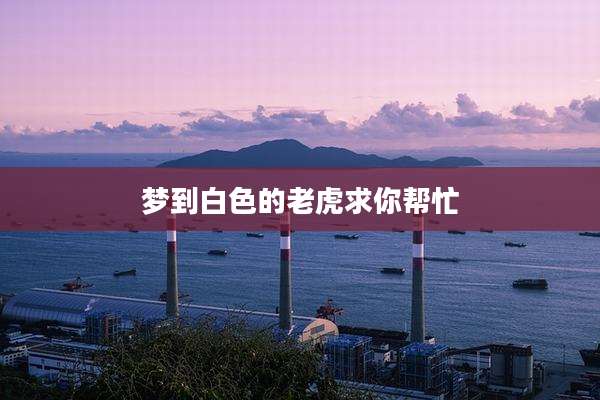 梦到白色的老虎求你帮忙