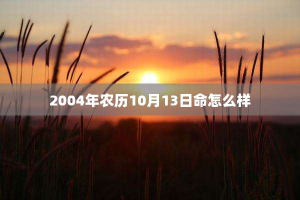 2004年农历10月13日命怎么样