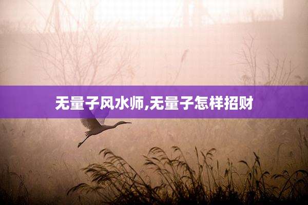 无量子风水师,无量子怎样招财