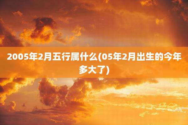 2005年2月五行属什么(05年2月出生的今年多大了)