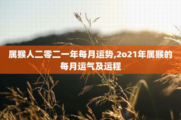 属猴人二零二一年每月运势,2o21年属猴的每月运气及运程