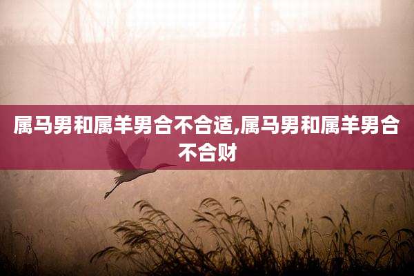 属马男和属羊男合不合适,属马男和属羊男合不合财