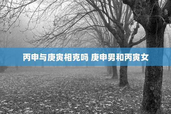 丙申与庚寅相克吗 庚申男和丙寅女