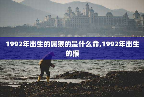 1992年出生的属猴的是什么命,1992年出生的猴