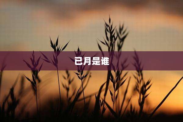 已月是谁