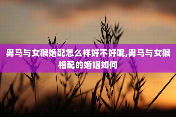 男马与女猴婚配怎么样好不好呢,男马与女猴相配的婚姻如何