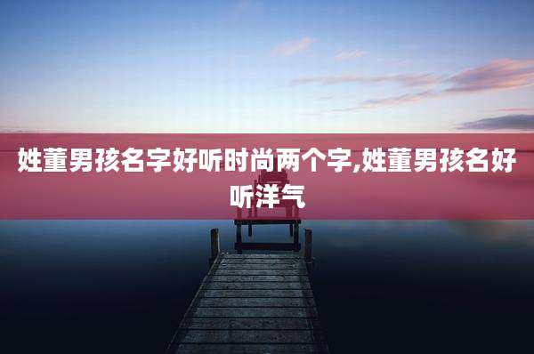 姓董男孩名字好听时尚两个字,姓董男孩名好听洋气