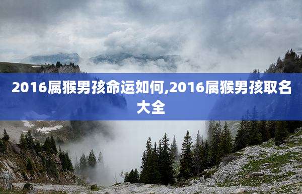 2016属猴男孩命运如何,2016属猴男孩取名大全