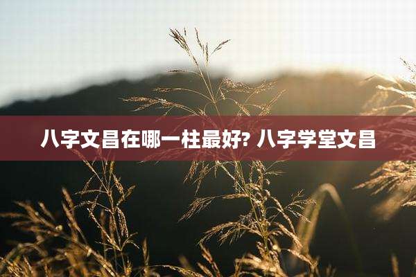 八字文昌在哪一柱最好? 八字学堂文昌