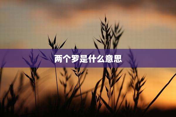 两个罗是什么意思