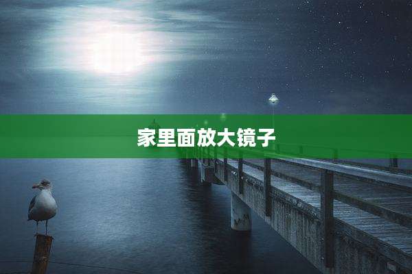 家里面放大镜子