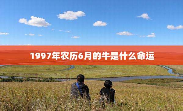 1997年农历6月的牛是什么命运