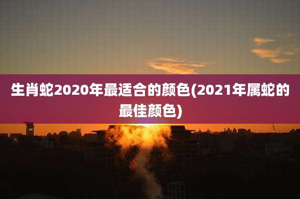 生肖蛇2020年最适合的颜色(2021年属蛇的最佳颜色)