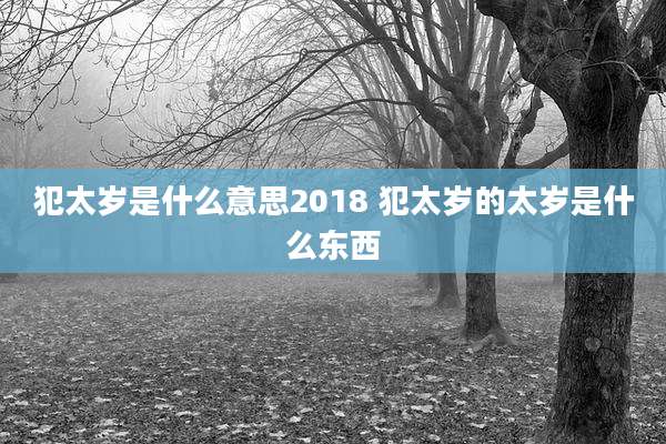 犯太岁是什么意思2018 犯太岁的太岁是什么东西