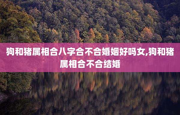 狗和猪属相合八字合不合婚姻好吗女,狗和猪属相合不合结婚