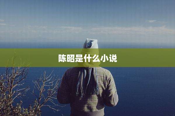 陈昭是什么小说