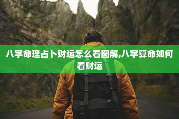 八字命理占卜财运怎么看图解,八字算命如何看财运