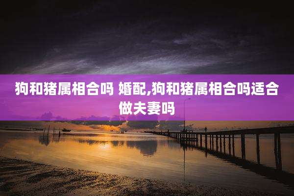 狗和猪属相合吗 婚配,狗和猪属相合吗适合做夫妻吗