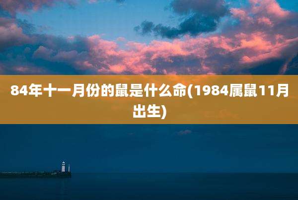 84年十一月份的鼠是什么命(1984属鼠11月出生)