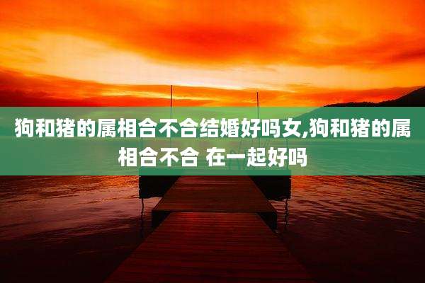 狗和猪的属相合不合结婚好吗女,狗和猪的属相合不合 在一起好吗