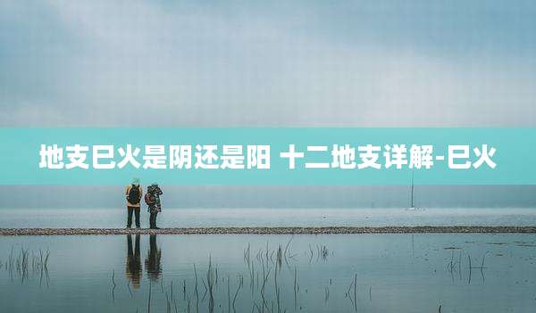 地支巳火是阴还是阳 十二地支详解-巳火