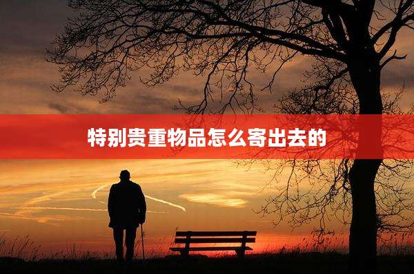 特别贵重物品怎么寄出去的