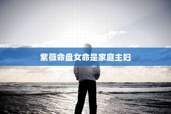 紫薇命盘女命是家庭主妇