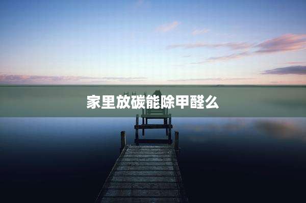 家里放碳能除甲醛么
