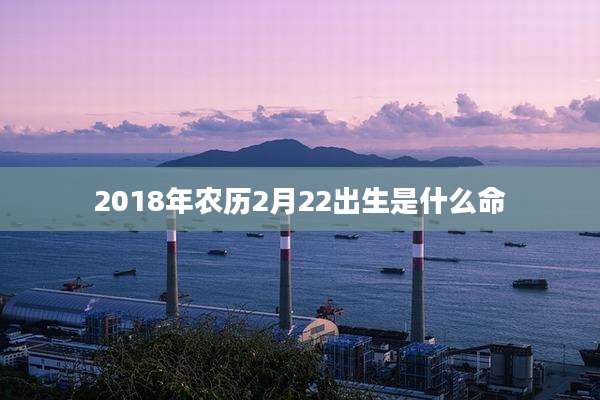 2018年农历2月22出生是什么命