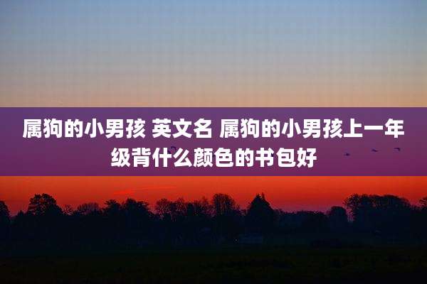 属狗的小男孩 英文名 属狗的小男孩上一年级背什么颜色的书包好
