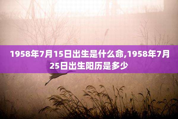 1958年7月15日出生是什么命,1958年7月25日出生阳历是多少