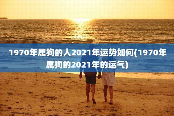 1970年属狗的人2021年运势如何(1970年属狗的2021年的运气)