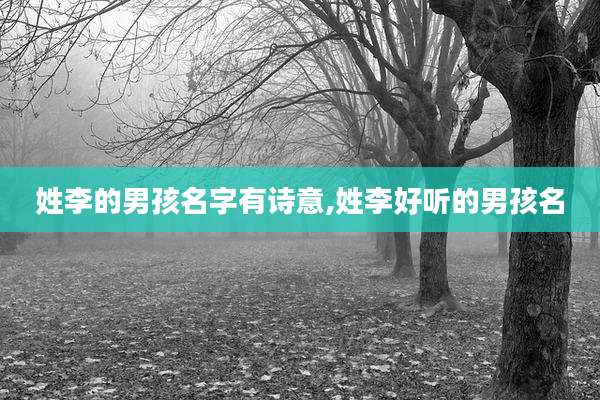 姓李的男孩名字有诗意,姓李好听的男孩名