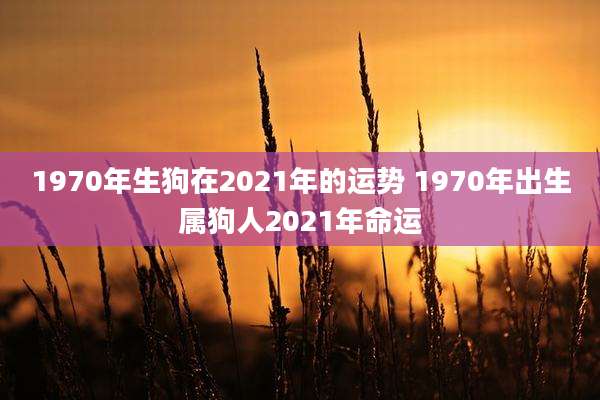 1970年生狗在2021年的运势 1970年出生属狗人2021年命运