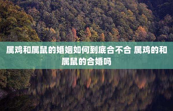 属鸡和属鼠的婚姻如何到底合不合 属鸡的和属鼠的合婚吗