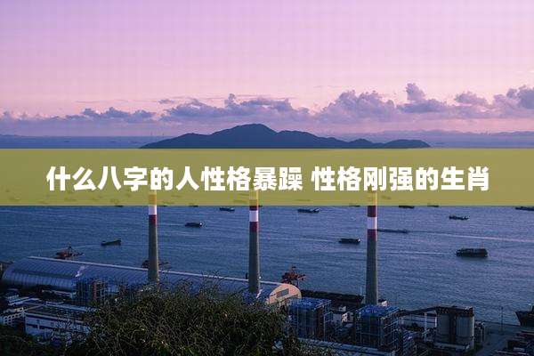 什么八字的人性格暴躁 性格刚强的生肖