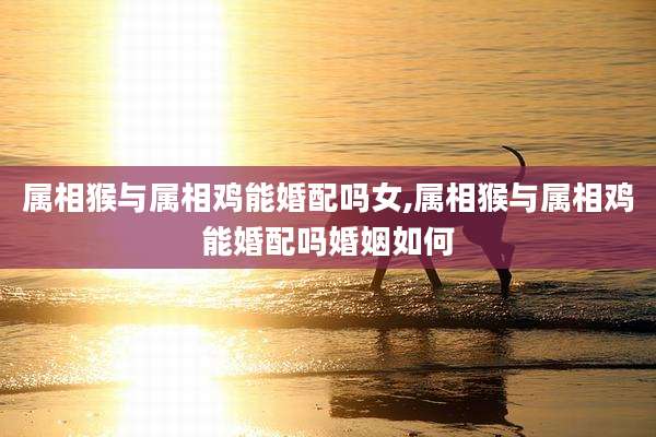 属相猴与属相鸡能婚配吗女,属相猴与属相鸡能婚配吗婚姻如何