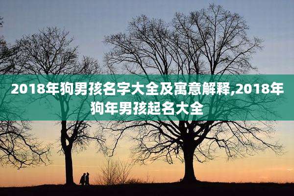 2018年狗男孩名字大全及寓意解释,2018年狗年男孩起名大全