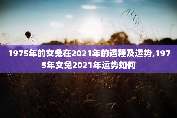 1975年的女兔在2021年的运程及运势,1975年女兔2021年运势如何